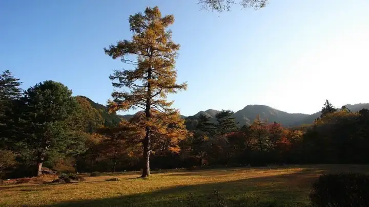 Nikko Botanical Garden
