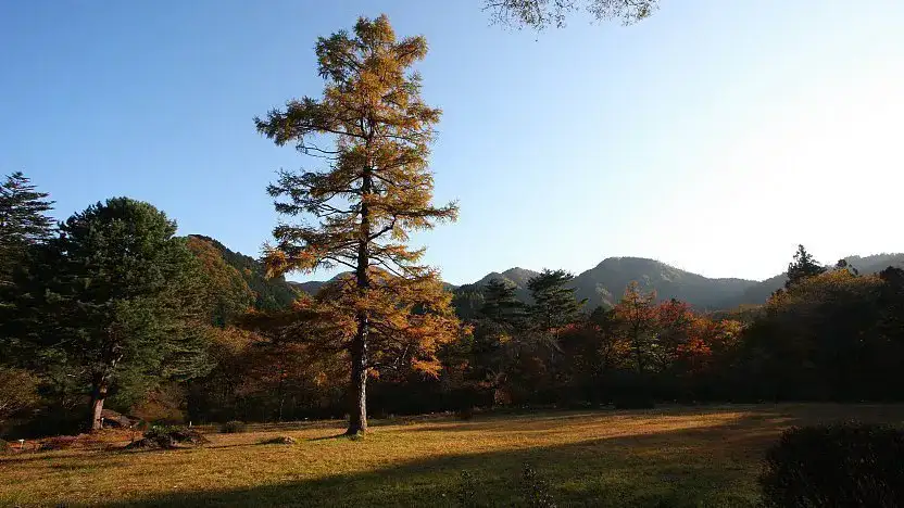 Nikko Botanical Garden