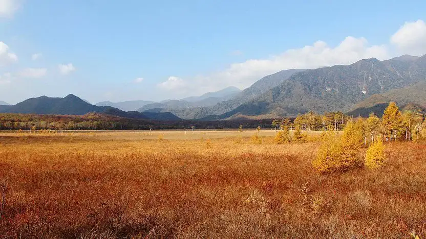 Pântano Senjogahara