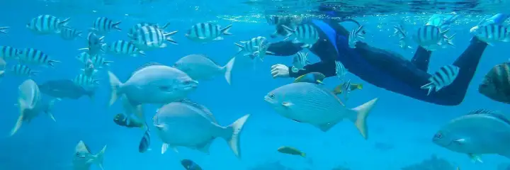 Ogasawara Islands
