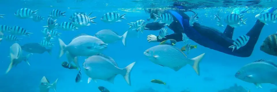Islas Ogasawara