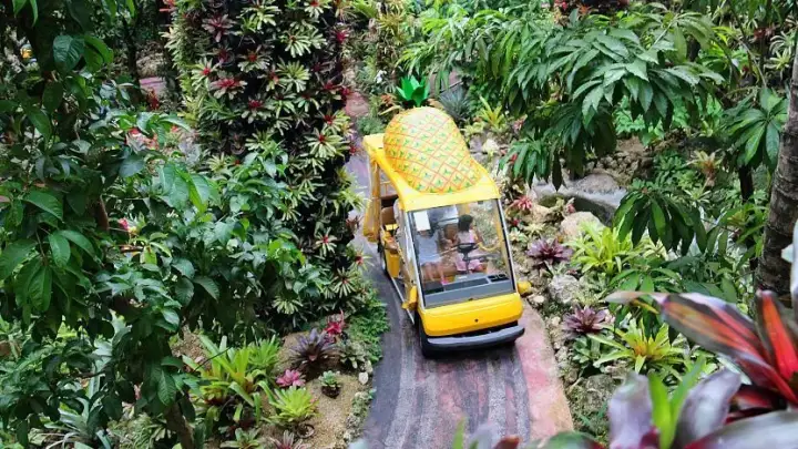 Parque do Abacaxi de Nago