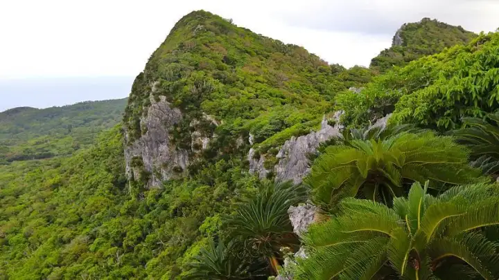 Região de Yanbaru