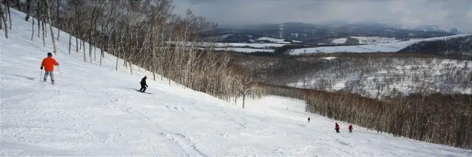 Rusutsu Ski Resort