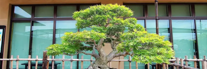 Saitama