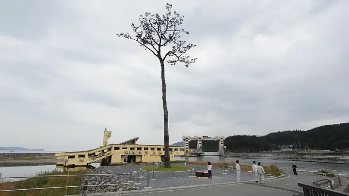 Rikuzentakata