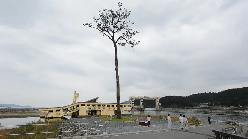 Rikuzentakata