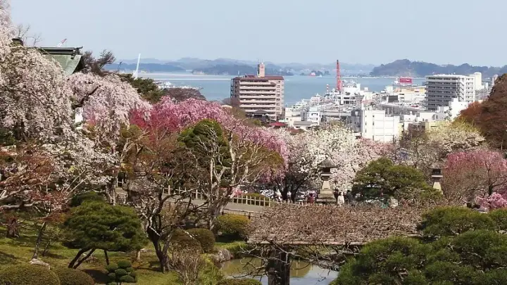 Shiogama