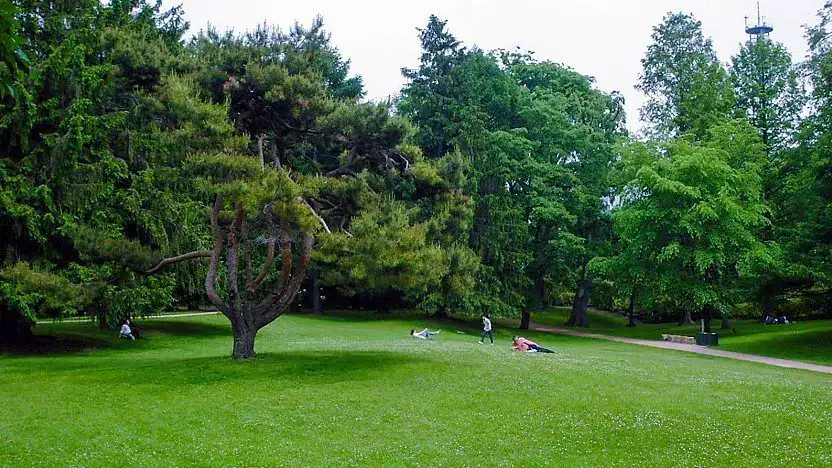 Jardin Botanique