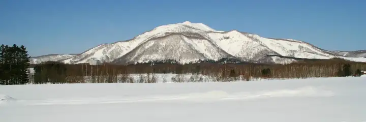Niseko