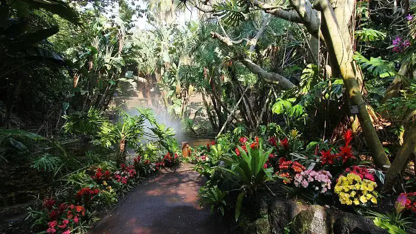 Flower Park Kagoshima