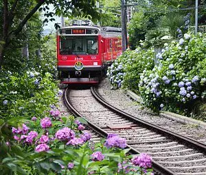 Scenic Rides