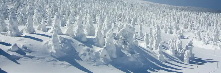 Zao