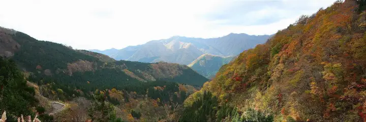 Shirakami Sanchi