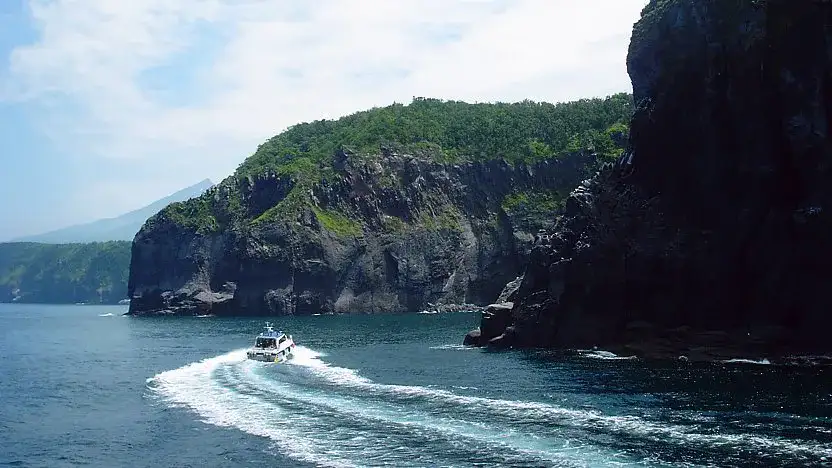 Sightseeing Boat Cruises