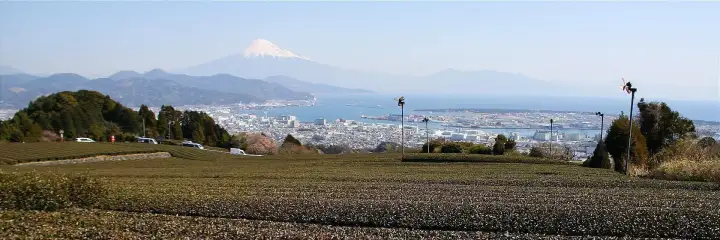 Shizuoka