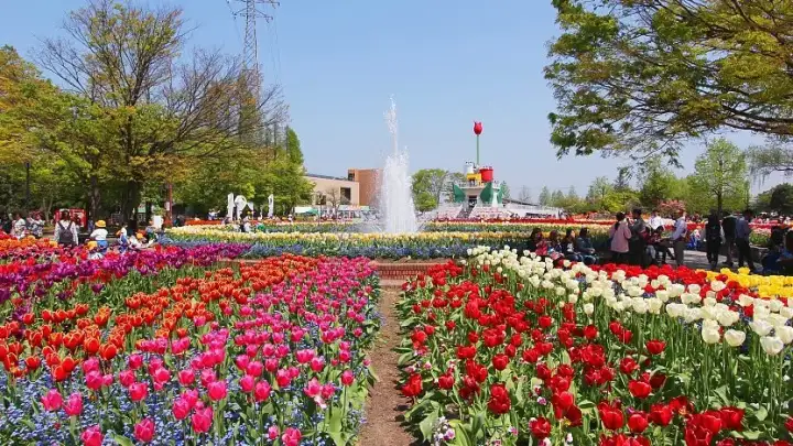 Feria del Tulipán de Tonami