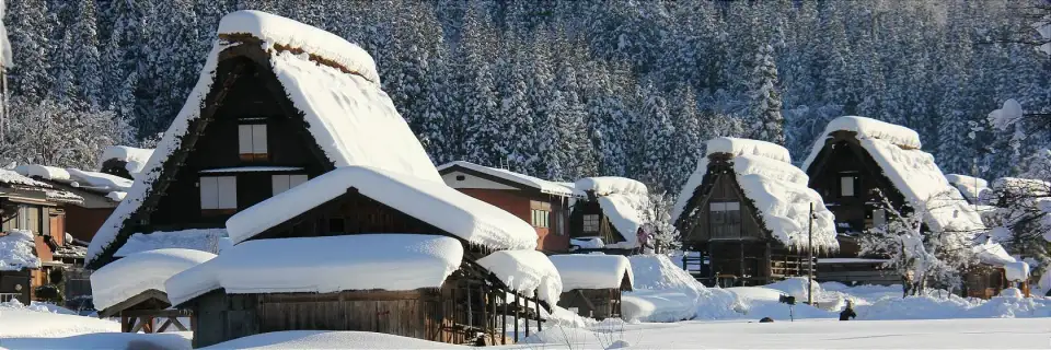 Shirakawa-go e Gokayama
