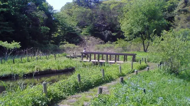 Institute for Nature Study