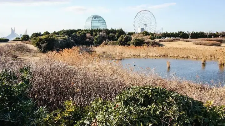 Kasai Rinkai Park