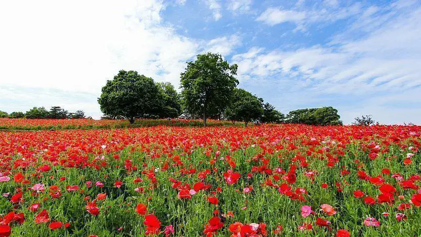Parc du Souvenir Showa