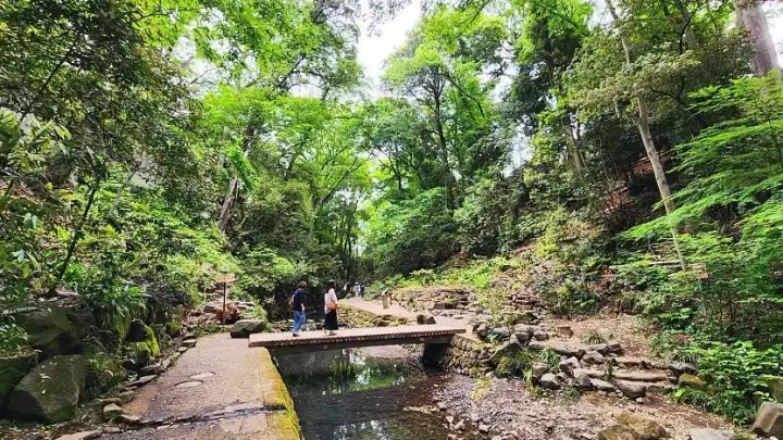 Todoroki Valley