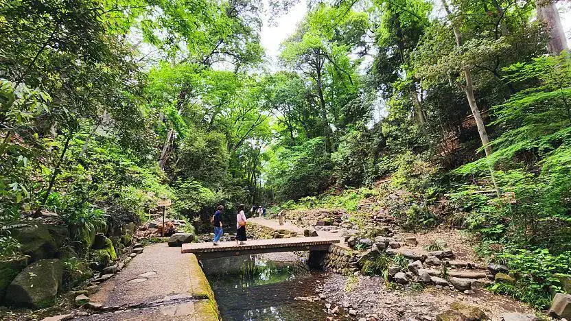 Todoroki Valley