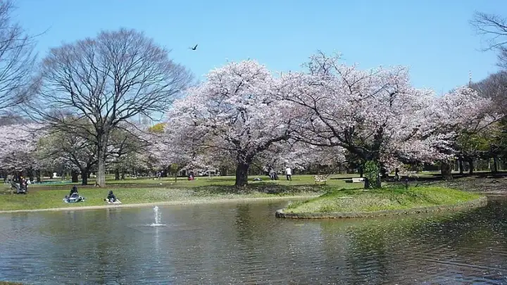 Yoyogi Park