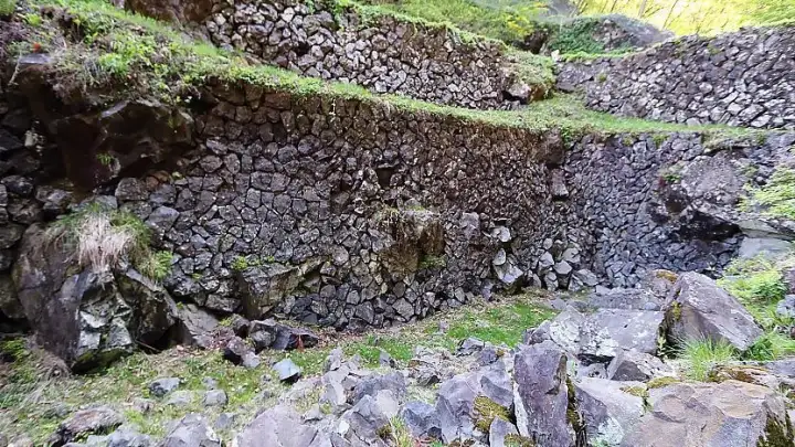Arafune Cold Storage