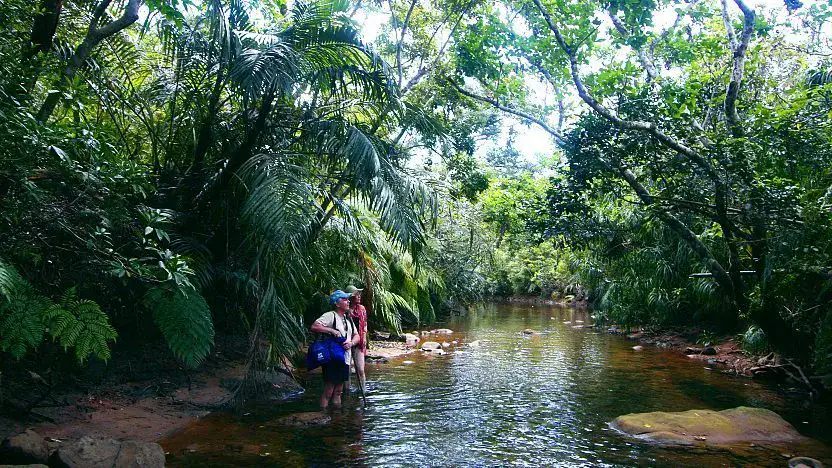 Iriomote Island