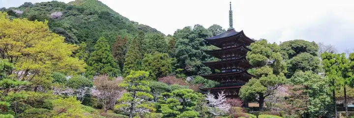Yamaguchi