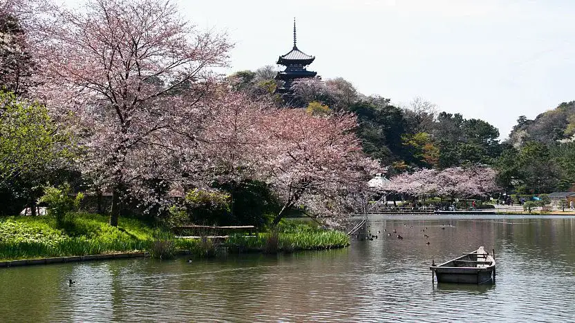 Sankeien-Garten