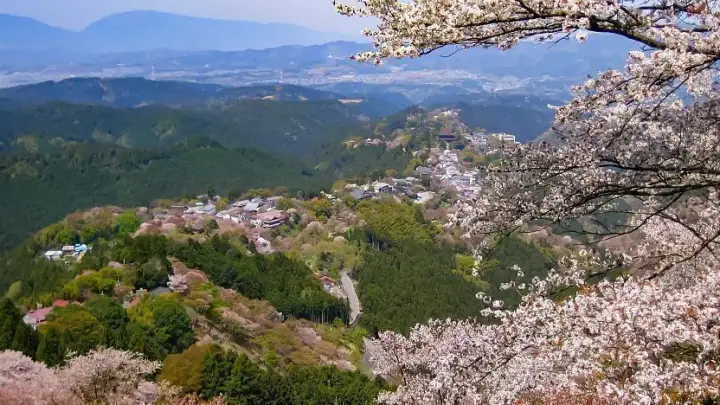 Monte Yoshinoyama